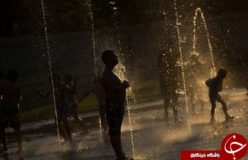 از قهرمانی مجدد مایکل فلپس مقابل چشمان پسرش تا حمل و نقل عجیب شترمرغ در چین