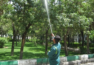ﺷﺴﺖ ﻭ ﺷﻮﯼ ﺩﺭﺧﺘﺎﻥ ﭘﺎیتخت با ماده ای خاص ! ﺷﺴﺖ ﻭ ﺷﻮﯼ ﺩﺭﺧﺘﺎﻥ ﭘﺎیتخت با ماده ای خاص !
