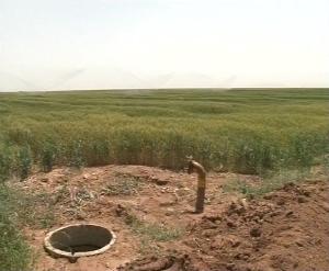 قطع برق 648 حلقه چاه کشاورزی در ابرکوه