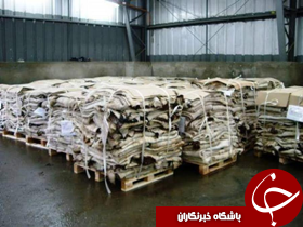 ارسال 94 هزار پوست گوسفنداز شهرستان بیرجند