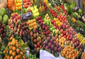۲۰ آفت خطرناک با میوه قاچاق وارد کشور شده است