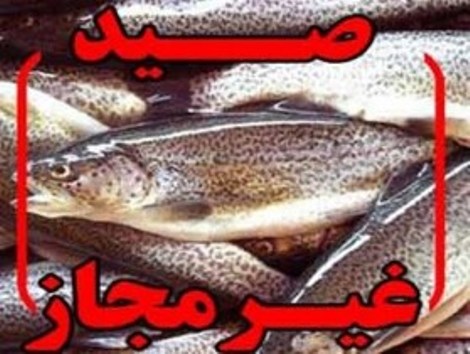 دستگیری شکارچیان غیرمجاز در دزفول