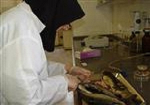 آزمایش بیش از 300 نمونه ماهی