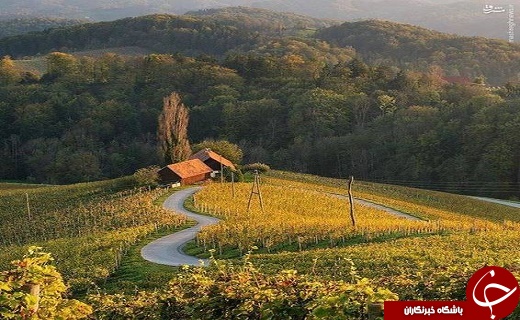 عکس/ جاده&zwnj;ای زیبا در هلند