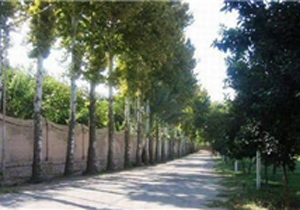 کشت محصولات کشاورزی در زمین‌های بدون استفاده