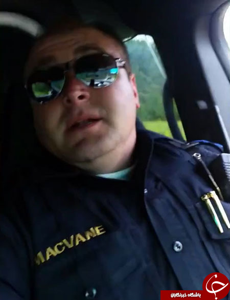 توصیه&zwnj;های ایمنی یک افسر پلیس به گاوها+ تصاویر