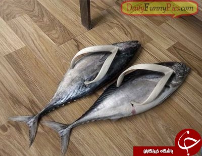 قطعا تا حالا چنین پاپوش هایی ندیده اید