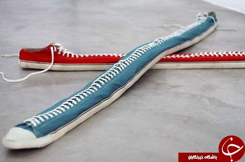 قطعا تا حالا چنین پاپوش هایی ندیده اید