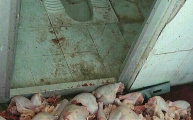 ماجرای ذبح بهداشت در برخی رستوران&zwnj;ها از کجا آب می&zwnj;خورد؟