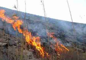 مهار آتش سوزی در مراتع شهرستان کنگاور