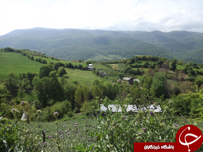 عجایبی از نکا، روستایی ساحلی در دل جنگل های شمال + تصاویر