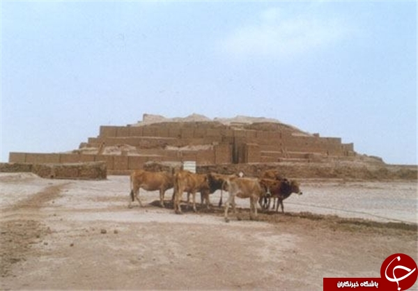 گاوها و گوسفندها در معبد عیلامی چغازنبیل چه می&zwnj;کنند؟!