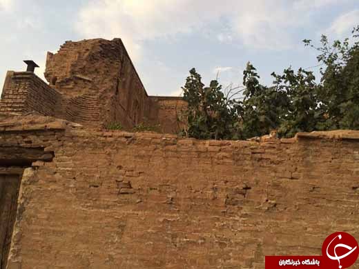 آرامگاه تنها فرمانروای زن فارس در آستانه نابودی +تصاویر