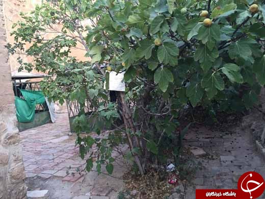 آرامگاه تنها فرمانروای زن فارس در آستانه نابودی +تصاویر