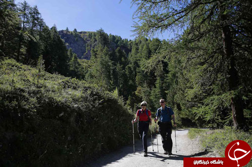از پیاده&zwnj;روی نخست&zwnj;وزیر انگلیس در کوه&zwnj;های آلپ تا فرشی از گل در بروکسل