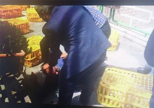 راه اندازی ۷ بازارچه طیور در زاهدان