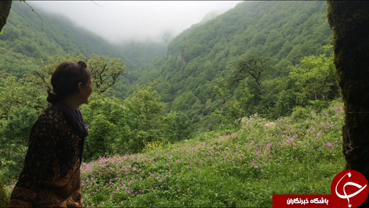 دنیای زنانه، غذاها، امنیت و... ایران در گفتگو با زن جوان هلندی