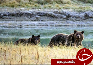 نگاهی گذرا به مهمترین رویدادهای 23 مرداد در مازندران