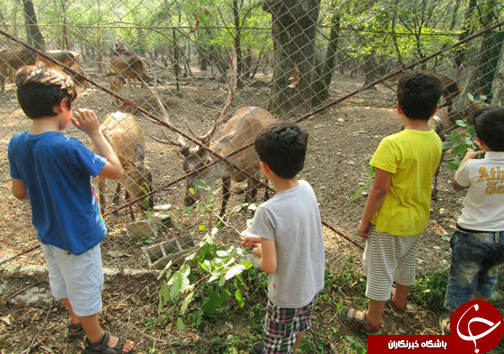 مدرسه ای با درس های طبیعت گردی