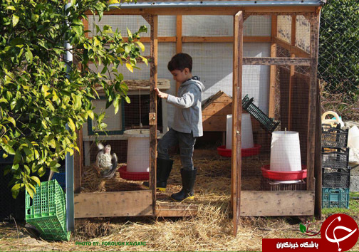 مدرسه ای با درس های طبیعت گردی