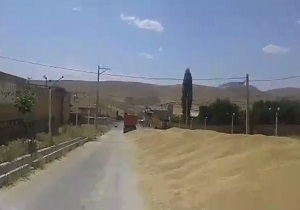 دست‌رنجی که کنار خیابان رها شد! + فیلم