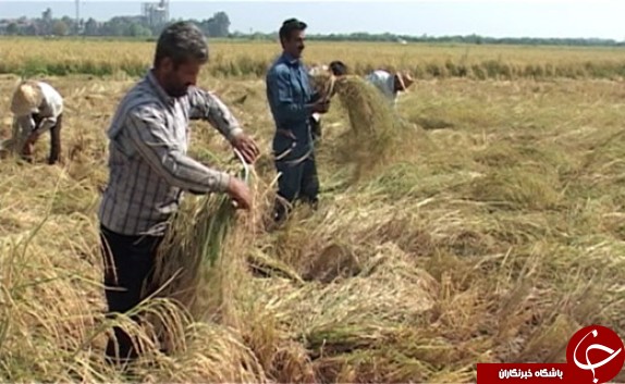 نگاهی گذرا به مهمترین رویدادهای 24 مرداد در مازندران