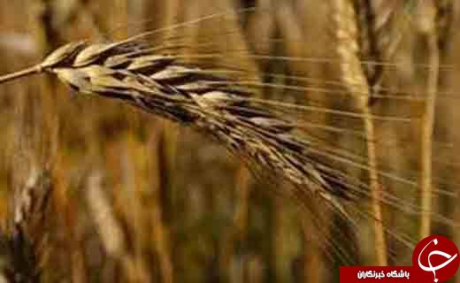 نگاهی گذرا به مهمترین رویدادهای 24 مرداد در مازندران