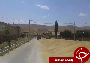 شهروندخبرنگار:دست&zwnj;رنجی که کنار خیابان رها شد! + فیلم