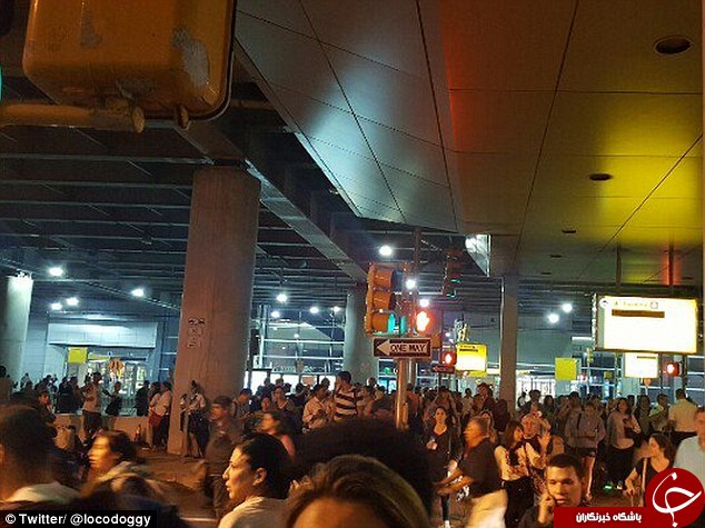 تصاویر فرودگاه JFK پس از تیراندازی شب گذشته
