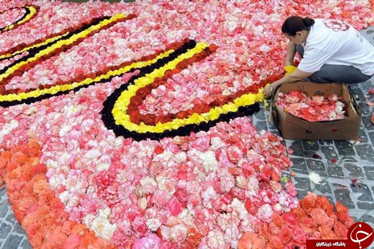 فرش گل بروکسل جمع می شود