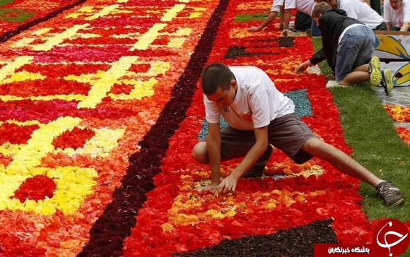فرش گل بروکسل جمع می شود