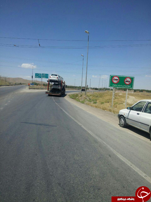 از تقدیر شهرداری از دو شهروند روی بنر تا رشد کردن برگ از روی خیار + تصاویر