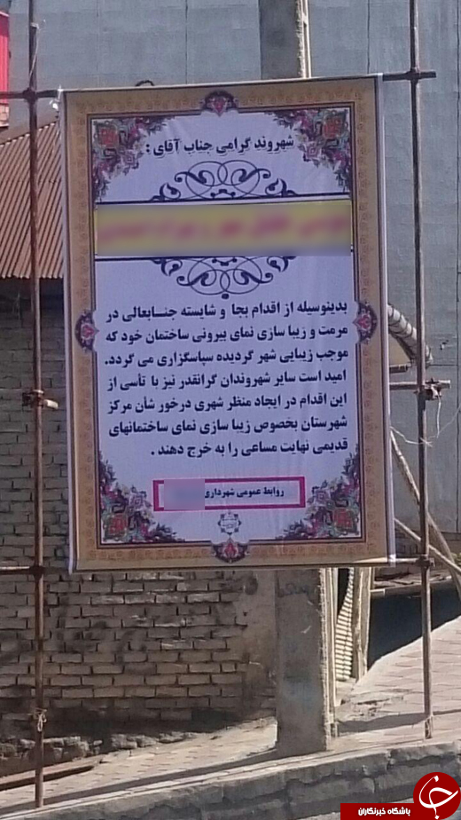 از تقدیر شهرداری از دو شهروند روی بنر تا رشد کردن برگ از روی خیار + تصاویر