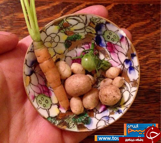 عکس/ میوه&zwnj;هایی که یک دهم اندازه واقعی هستند!