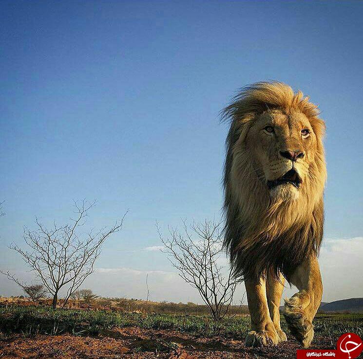 تصاویر منتخب نشنال جئوگرافیک