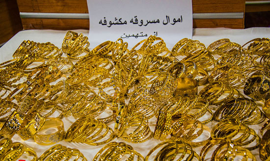 از سکوت جیرجیرک ها تا جزئیات سرقت زوج میانسال
