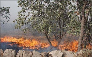کوه ادیو اندیکاهمچنان درحال سوختن