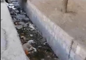 جوی&zwnj;هایی که زباله&zwnj;دانی شده است + فیلم