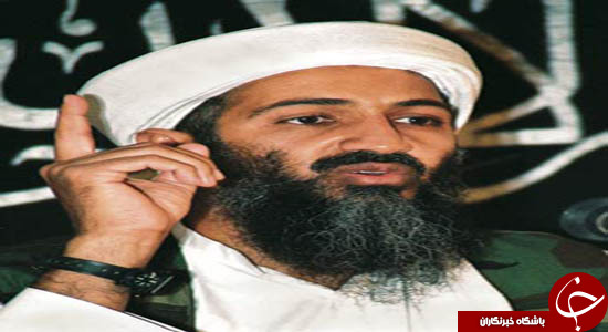 تفاوت داعش و طالبان در چیست
