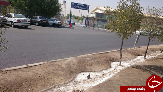 رنگ سفید باغچه&zwnj;ها در اهواز + فیلم