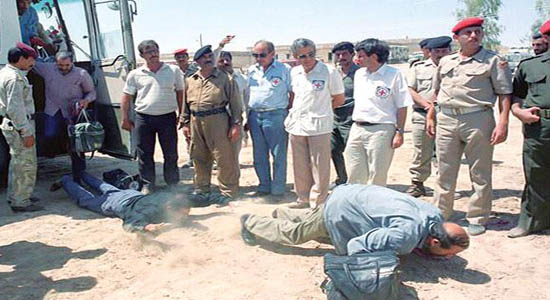 بازگشت پرستوها