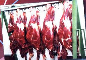 کشف 2 تن گوشت قرمز غیر قابل مصرف