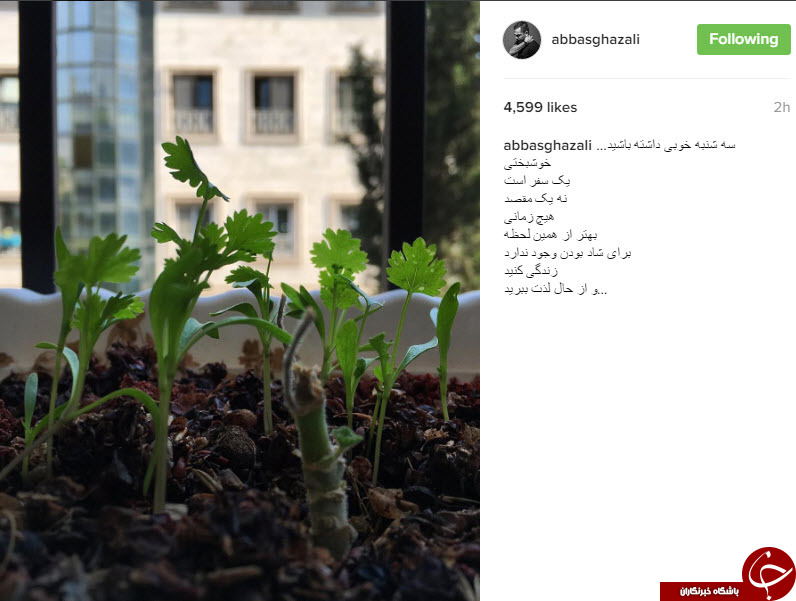 اینستاگردی