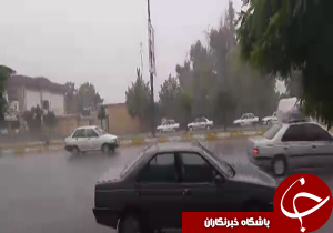 شهروندخبرنگار: بارش شدید باران در دلند + فیلم