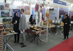 معرفی جامعه روستایی استان به کشور