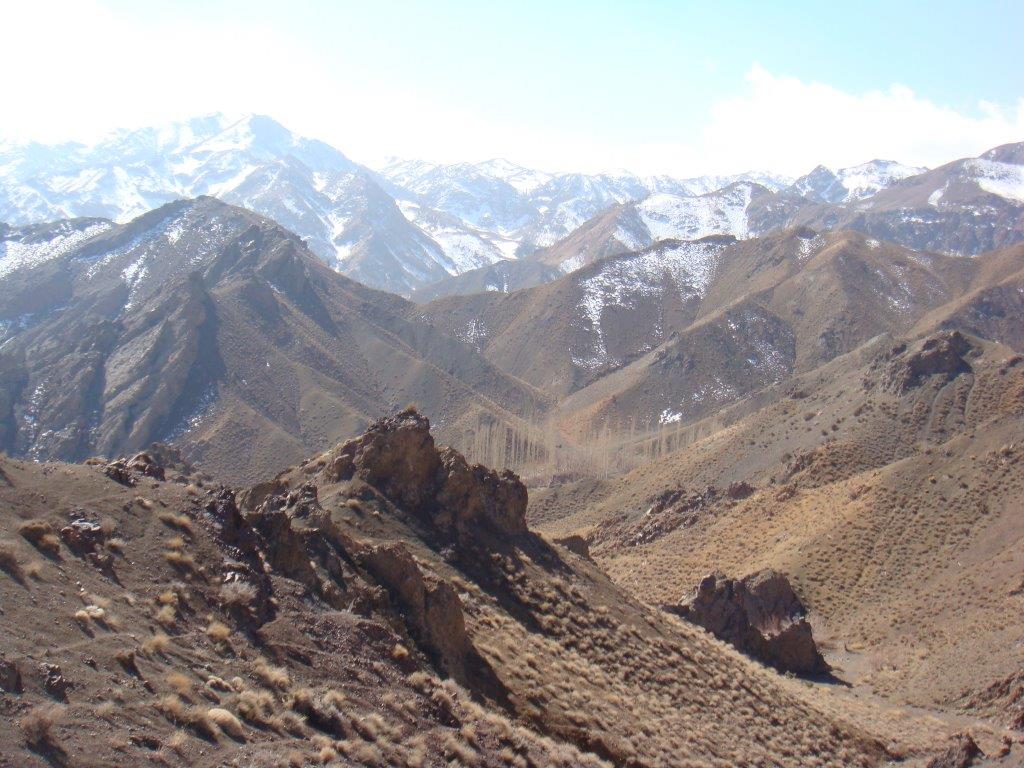 زادگاه خرس سیاه آسیایی