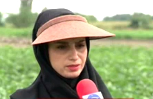دوست کشاورز؛ داستان حشراتی که برای مبارزه با آفات به مزارع گلستان آمدند.