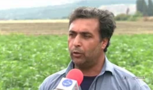 دوست کشاورز؛ داستان حشراتی که برای مبارزه با آفات به مزارع گلستان آمدند.