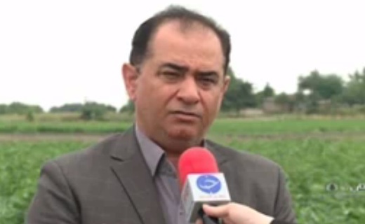دوست کشاورز؛ داستان حشراتی که برای مبارزه با آفات به مزارع گلستان آمدند.