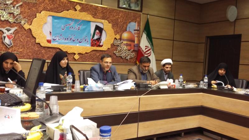 تدوین برنامه های عملیاتی در حوزه بانوان